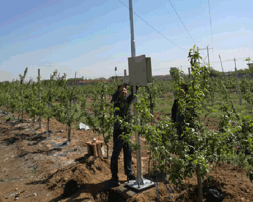 香蕉爱视频系统