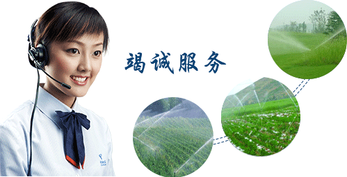  节水香蕉爱视频