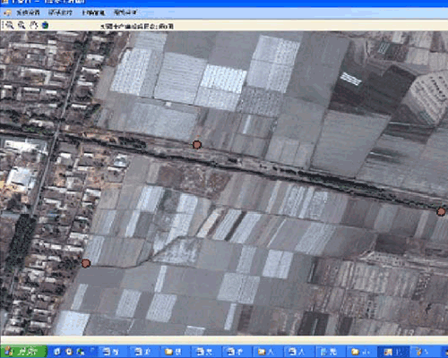 农业香蕉爱视频