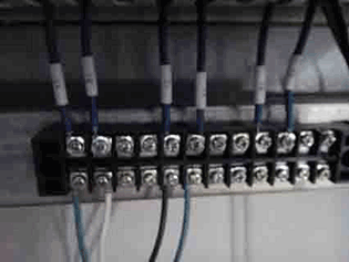 农业香蕉爱视频