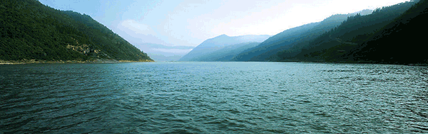 节水香蕉爱视频