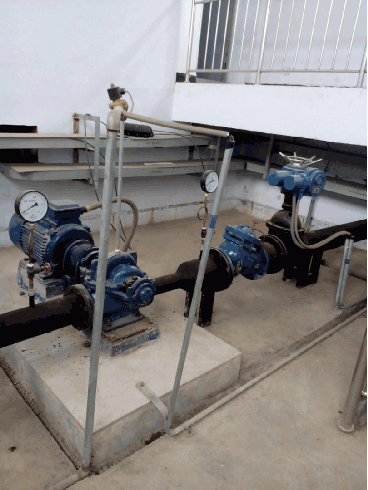 农业香蕉爱视频