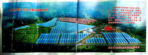 香蕉爱视频系统