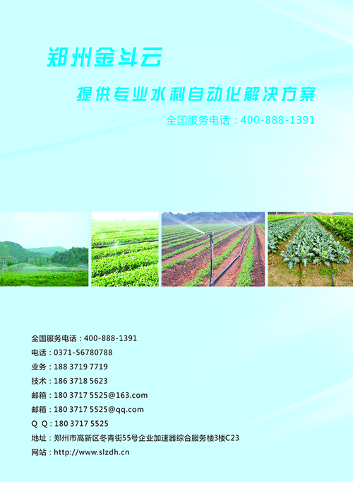 农业香蕉爱视频