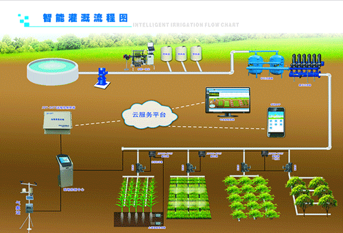 农业香蕉爱视频