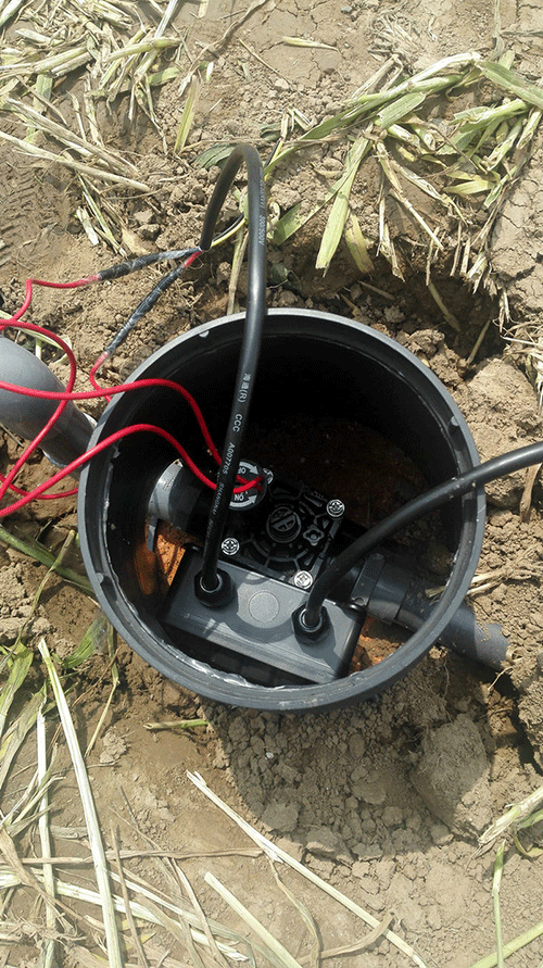 农业香蕉爱视频