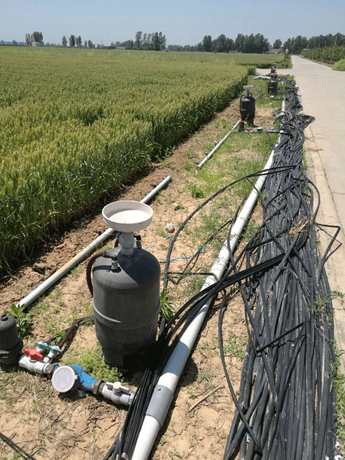 农业香蕉爱视频