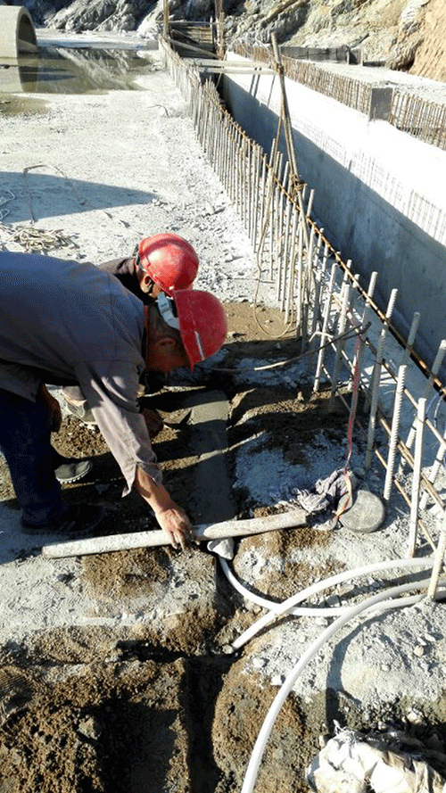 节水香蕉爱视频