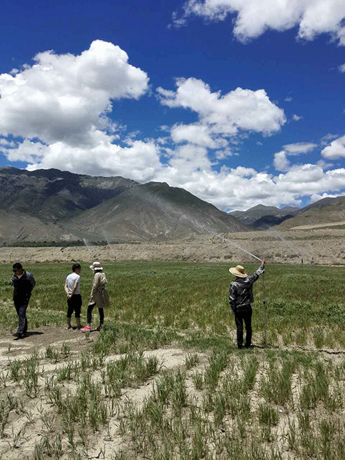 香蕉爱视频系统