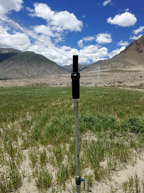 香蕉爱视频系统