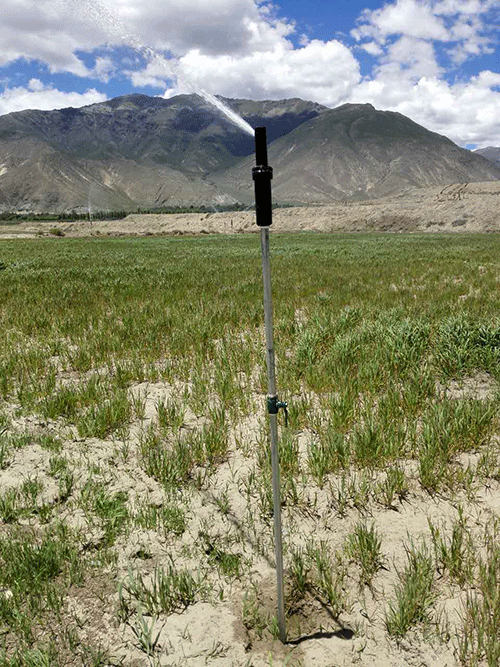 香蕉爱视频系统