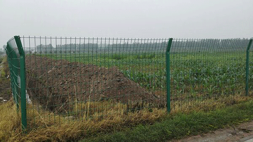 香蕉爱视频系统