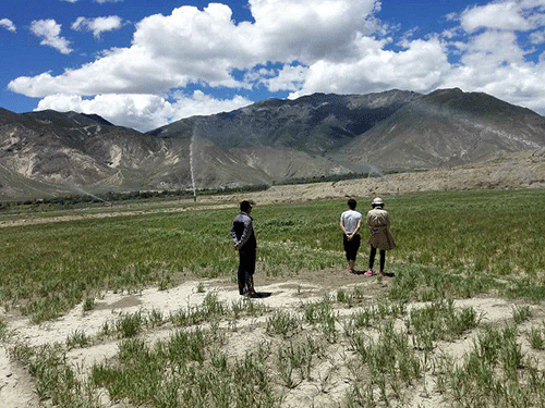 香蕉爱视频系统