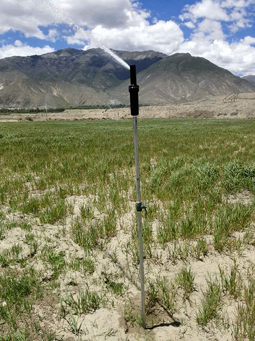 香蕉爱视频系统