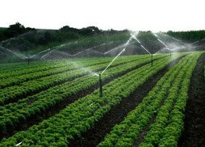 香蕉爱视频系统 香蕉爱视频系统