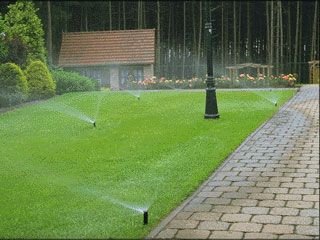 农业香蕉爱视频 农业香蕉爱视频