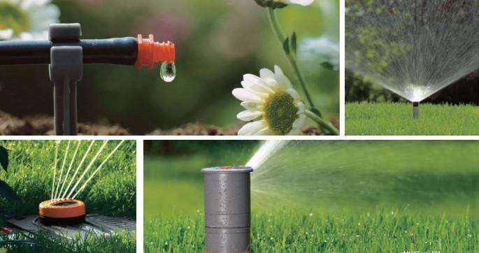 香蕉爱视频系统