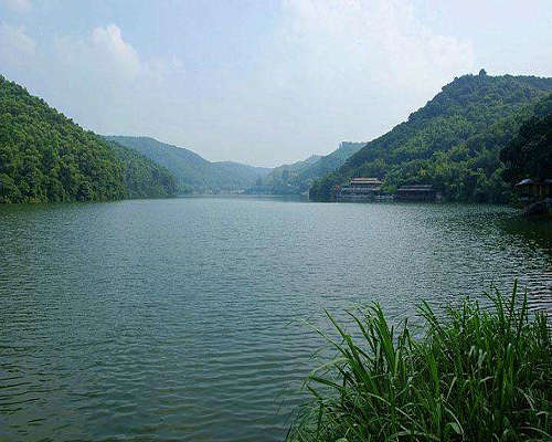 农业香蕉爱视频厂家 农业香蕉爱视频厂家