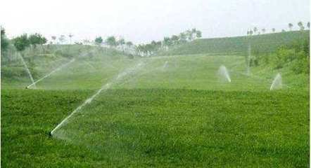 节水香蕉爱视频 节水香蕉爱视频