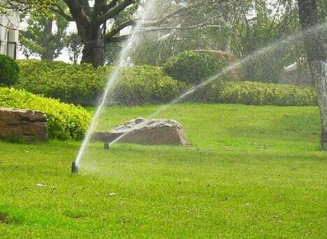 农业香蕉爱视频 农业香蕉爱视频