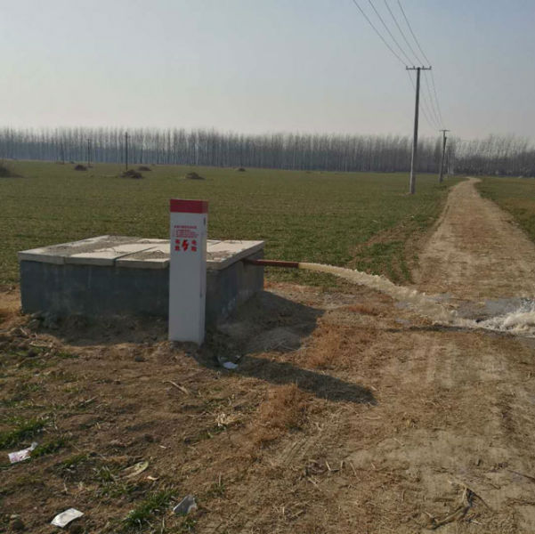 农业香蕉爱视频厂家