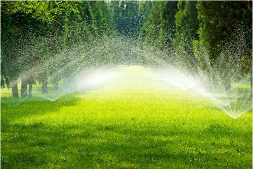 节水香蕉爱视频