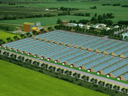 香蕉爱视频系统