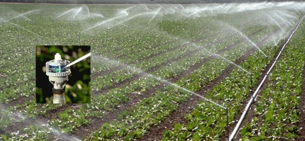 香蕉爱视频系统