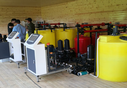 农业香蕉爱视频