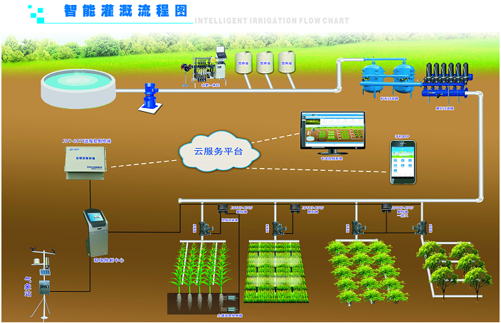 节水香蕉爱视频