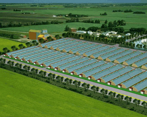 香蕉爱视频系统